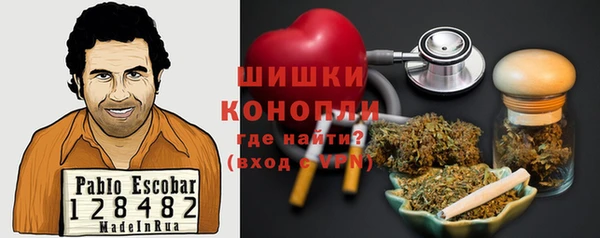 индика Кодинск