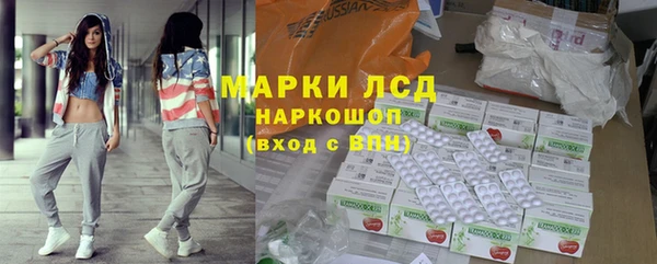 индика Кодинск