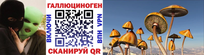 Галлюциногенные грибы мицелий  Купить где  Долинск 